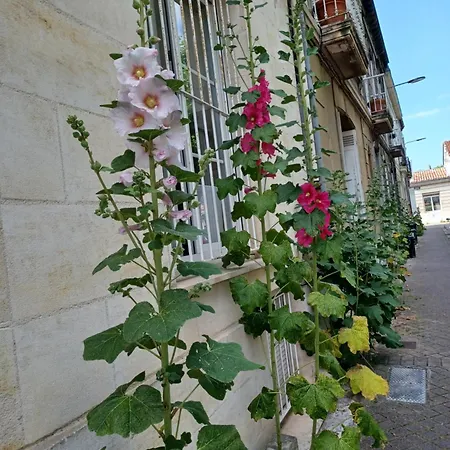 Prázdninový dům L'echoppe Sur La Place Bordeaux